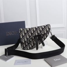 Christian Dior Waist Chest Packs